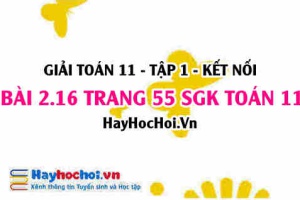 Giải bài 2.16 trang 55 Toán 11 tập 1 SGK Kết nối tri thức